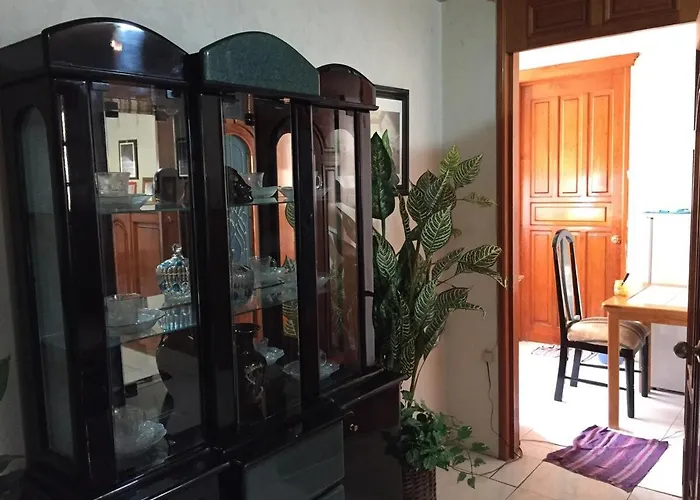 Apartment Near Everything And Some Art Mexico City